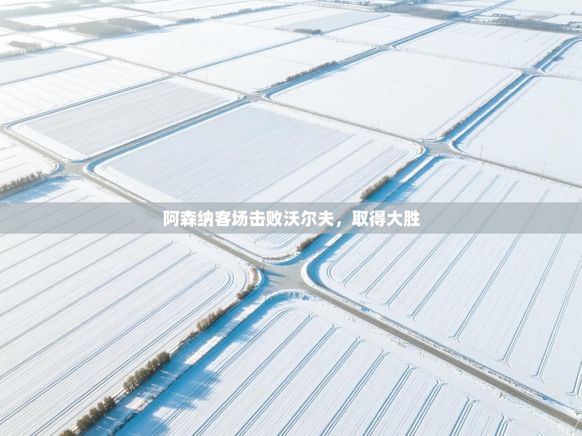 阿森纳客场击败沃尔夫，取得大胜