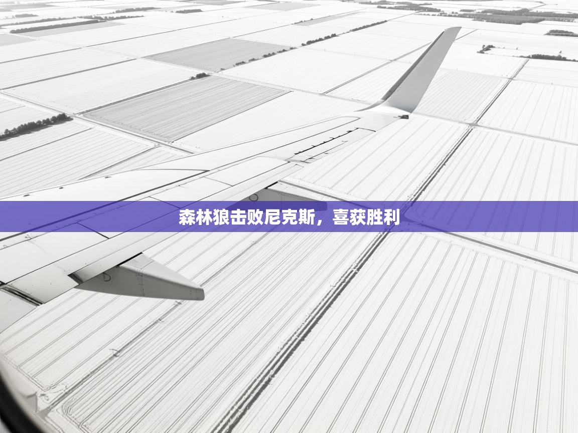 森林狼击败尼克斯，喜获胜利  第2张